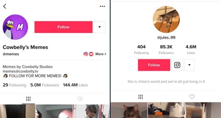 Make an Appealing Profile on TikTok - TikTokFollowing.com