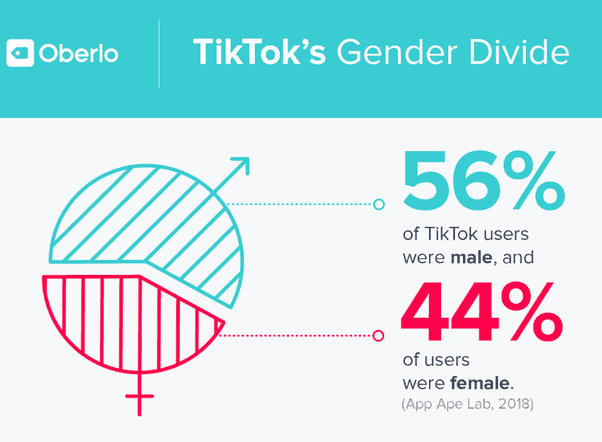 TikTok Gender Divide